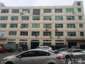 松岗塘下涌新出原房东厂房，约2万平空间待租，机遇与挑战并存